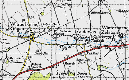 Old map of Bloxworth Down in 1945