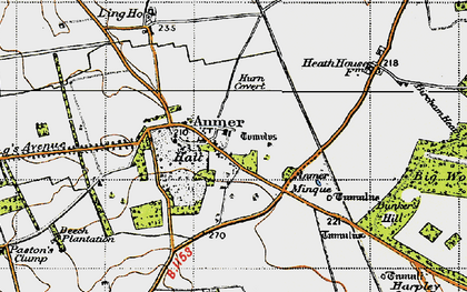 Old map of Anmer in 1946