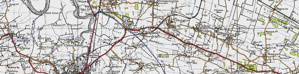Old map of Bawdrip in 1946