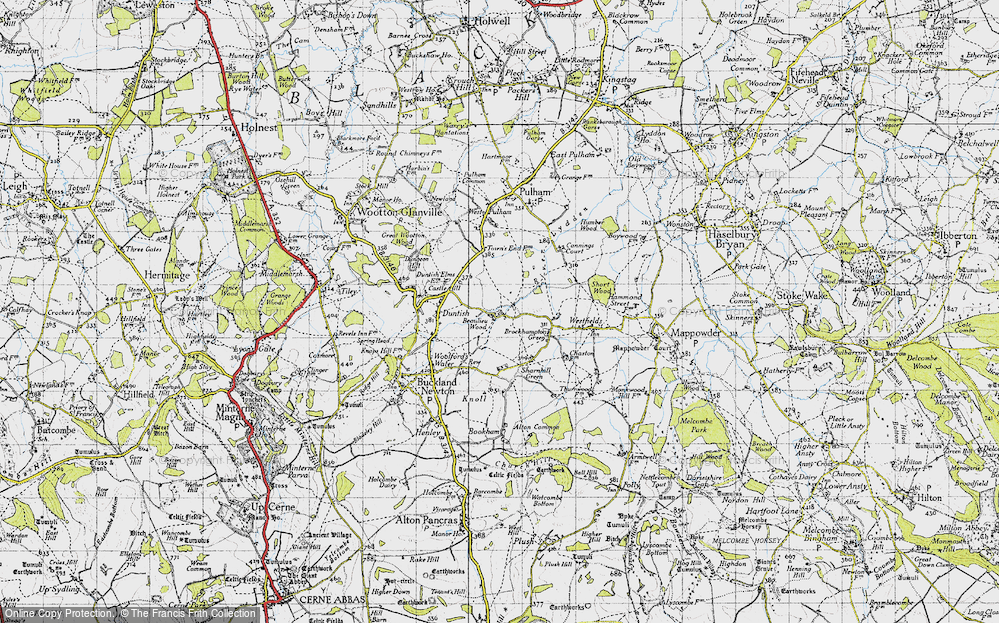 Old Map of Beaulieu Wood, 1945 in 1945