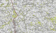 Beaulieu Wood, 1945