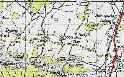 Old map of Bepton Down in 1945