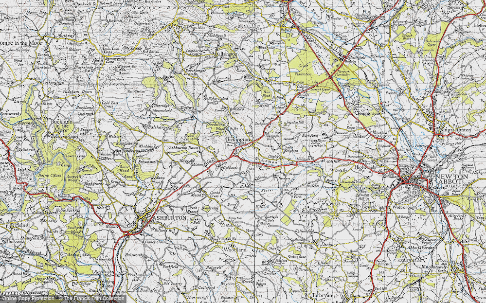 Old Map of Bickington, 1946 in 1946