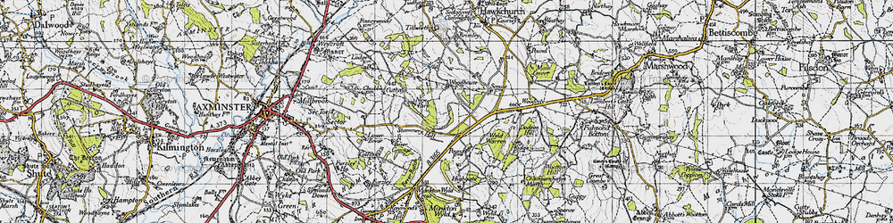 Old map of Wyld Warren in 1945