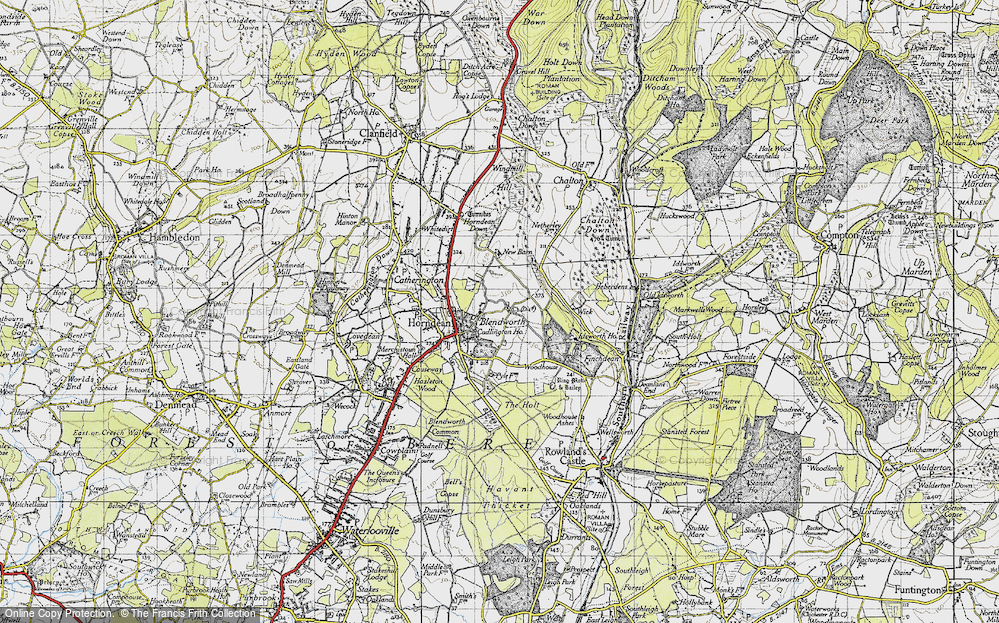 Old Map of Blendworth, 1945 in 1945