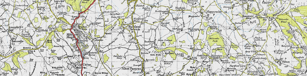Old map of Bookham in 1945