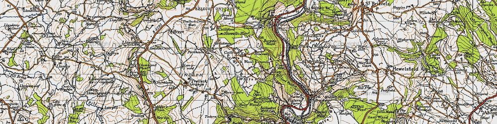 Old map of Wyes Wood Common in 1946