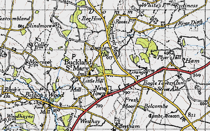 Old map of Buckland St Mary in 1946