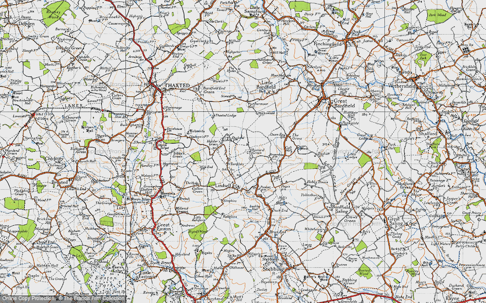 Bustard Green, 1946