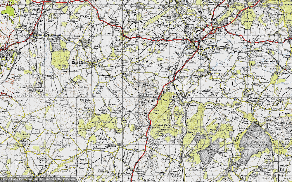 Old Map of Butser Hill, 1945 in 1945
