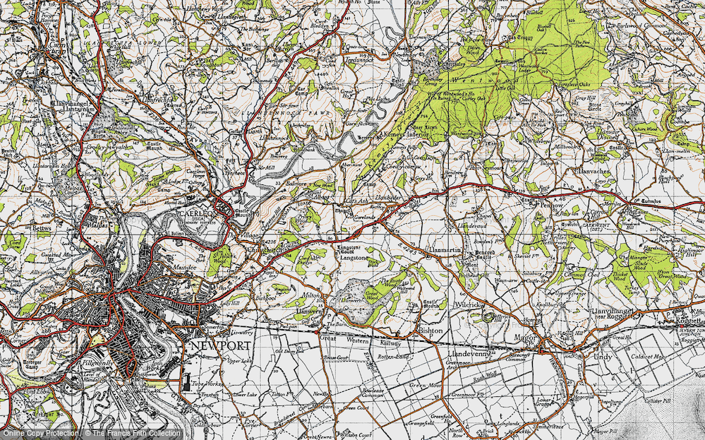Old Map of Cat's Ash, 1946 in 1946