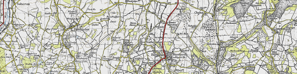 Old map of Catherington in 1945