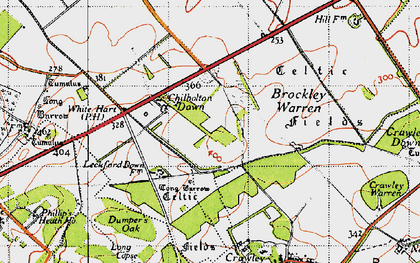 Old map of Chilbolton Down in 1945