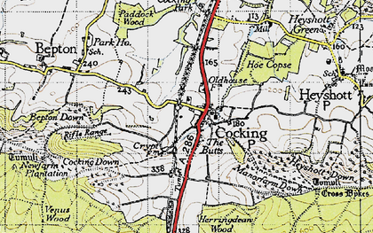 Old map of Cocking in 1945