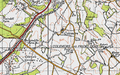 Old map of Colemore in 1940