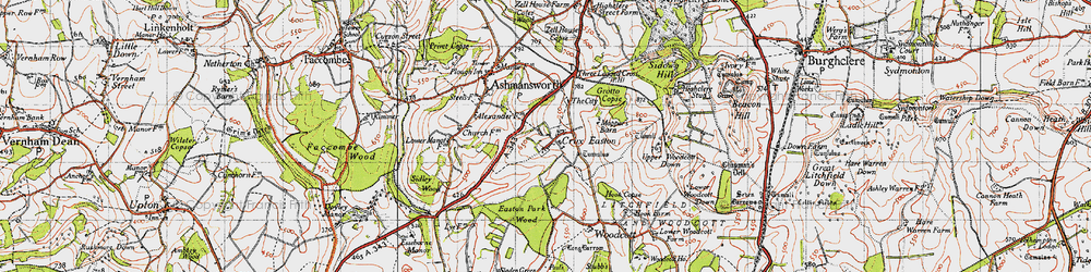 Old map of Beech Hanger Copse in 1945