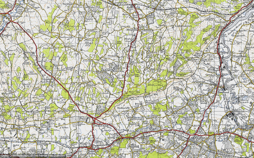 In 1946