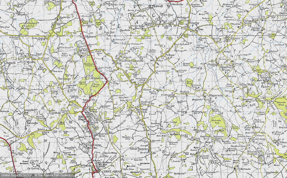 Old Map of Duntish, 1945 in 1945