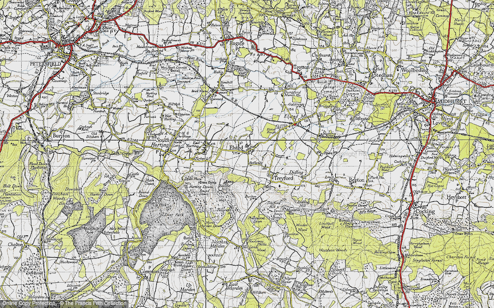 Old Map of Elsted, 1945 in 1945