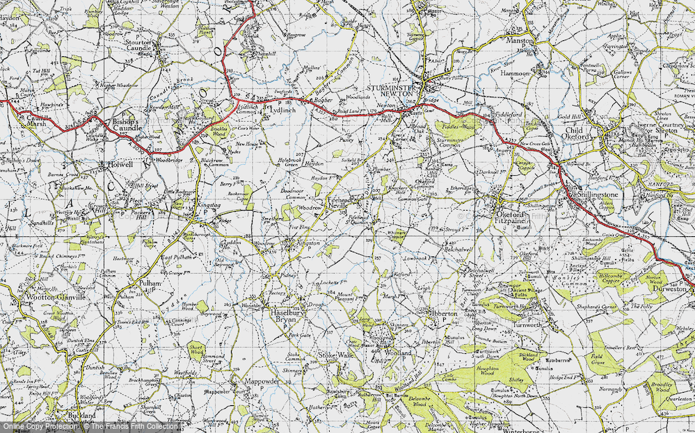 Old Map of Fifehead Neville, 1945 in 1945