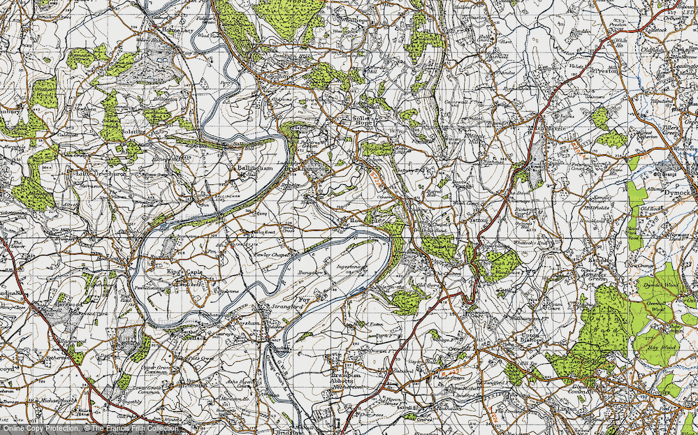 Old Map of Hales Wood, 1947 in 1947