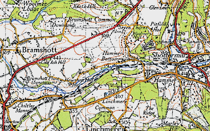 Old map of Bramshott Common in 1940