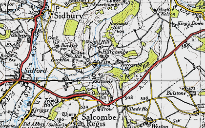 Old map of Buddlehayes in 1946