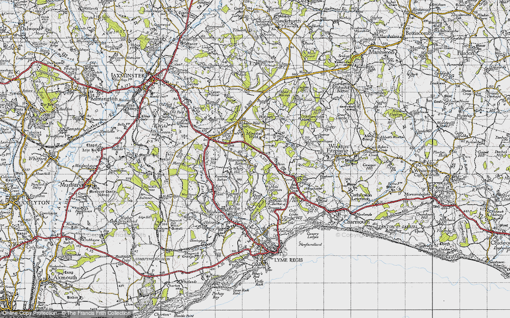 Old Map of Harcombe Bottom, 1945 in 1945
