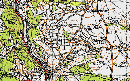 Old map of Hewelsfield Common in 1946