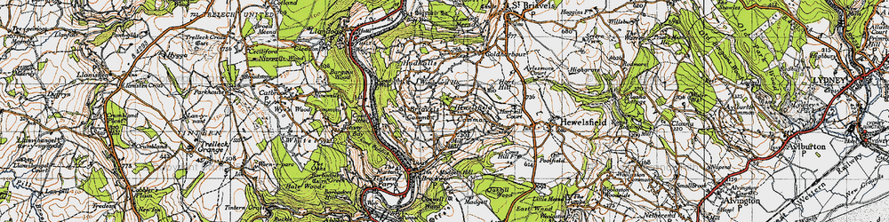 Old map of Hewelsfield Common in 1946