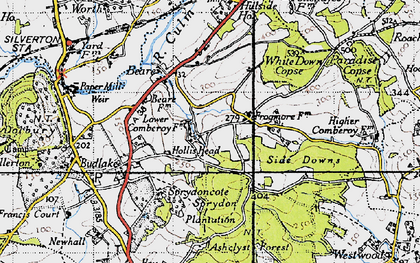 Old map of Ashclyst Forest in 1946