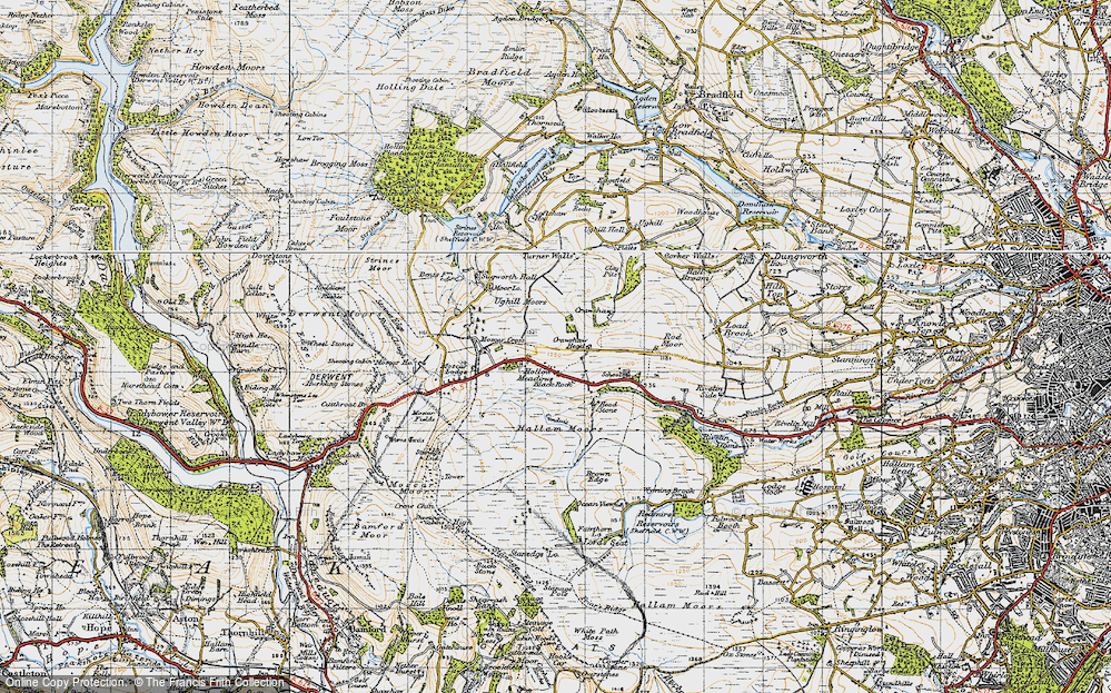 Hollow Meadows, 1947