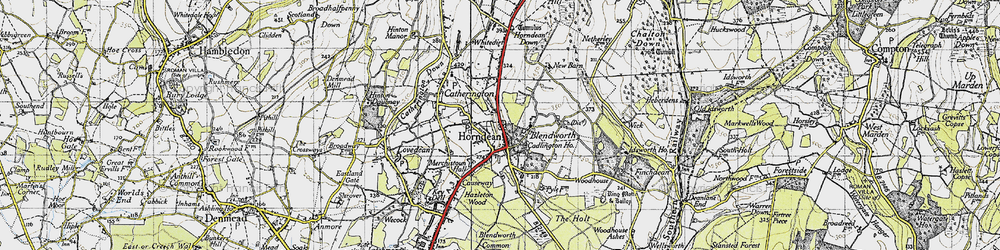 Old map of Horndean in 1945