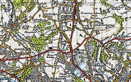 Old map of Ireland Wood in 1947