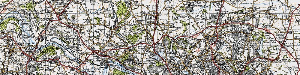 Old map of Ireland Wood in 1947