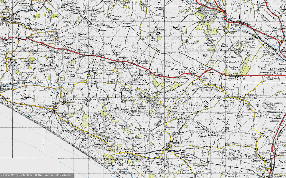 Old Map of Littlebredy, 1945 in 1945