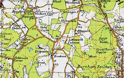 Burnham Beeches Photos Maps Books Memories