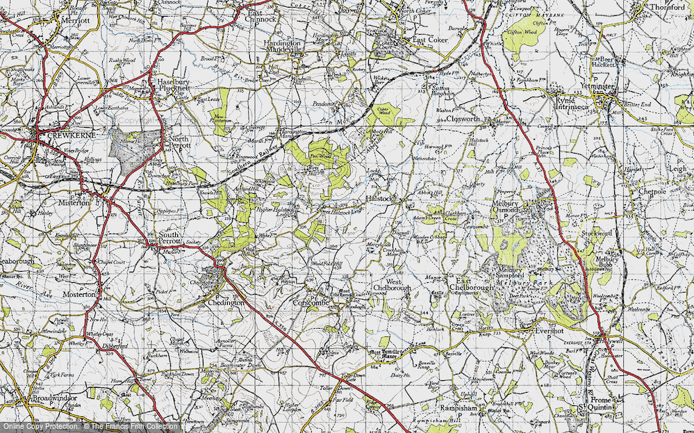 Old Map of Lower Halstock Leigh, 1945 in 1945