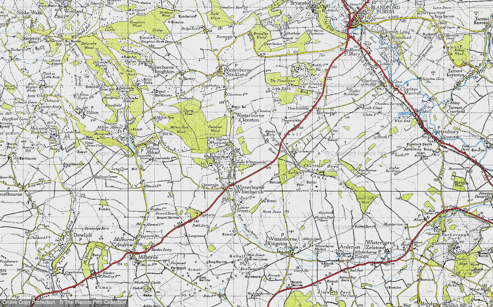 Old Map of Lower Whatcombe, 1945 in 1945