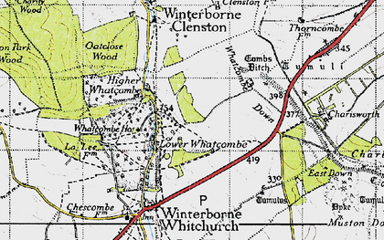 Old map of Whatcombe Down in 1945
