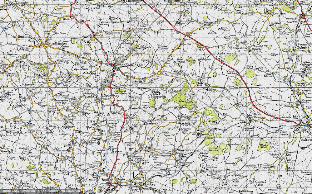 Old Map of Mapperton, 1945 in 1945