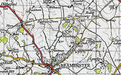 Old map of Beaminster Down in 1945