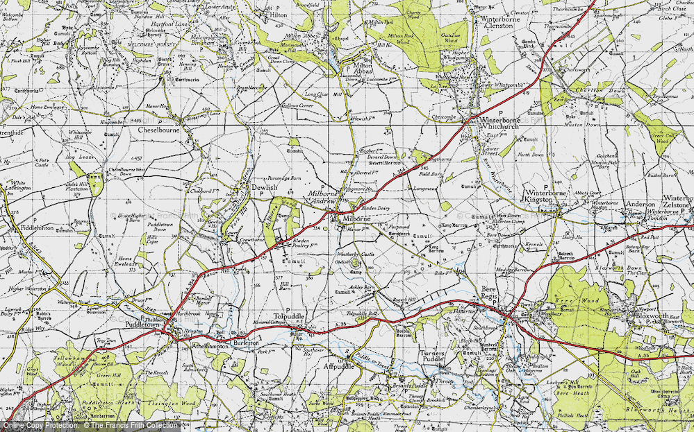 Old Map of Milborne St Andrew, 1945 in 1945
