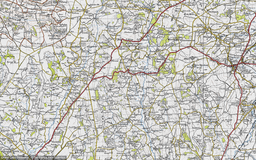 Old Map of Moorhayne, 1946 in 1946