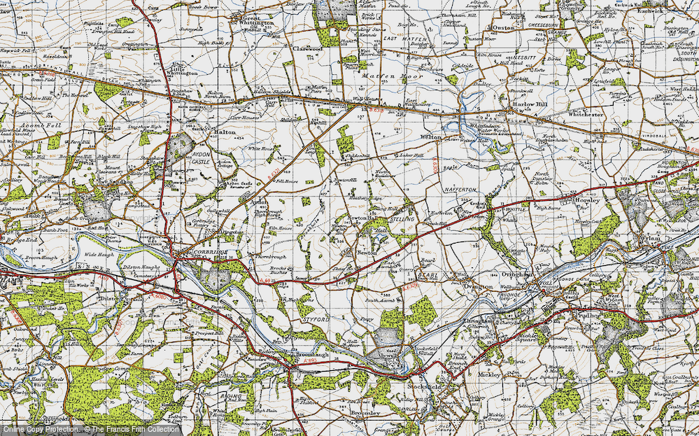 Old Map of Newton Hall, 1947 in 1947