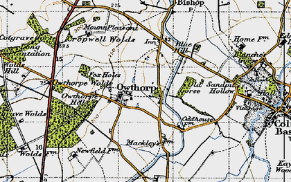 Old map of Borders Wood in 1946