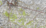 Park Wood, 1946