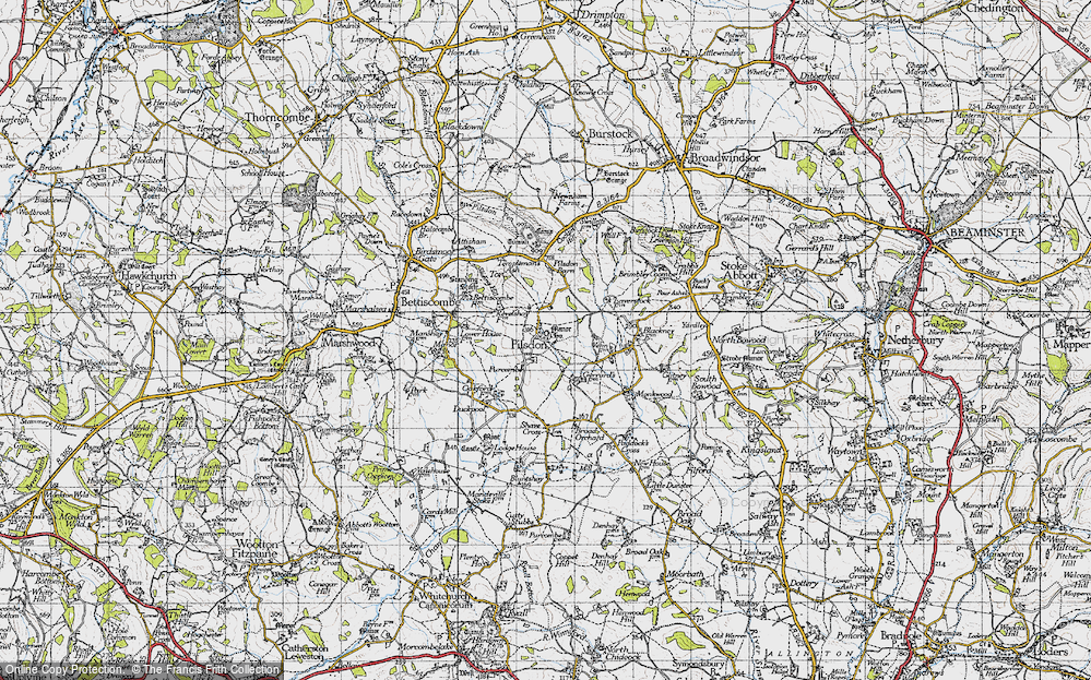 Old Map of Pilsdon, 1945 in 1945