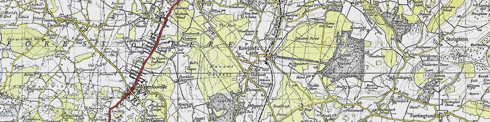 Old map of Havant Thicket in 1945