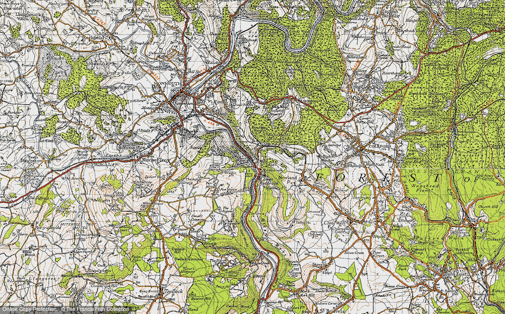 Old Map of Historic Map covering Bunjups Wood in 1946